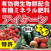 ACP[EgNgN