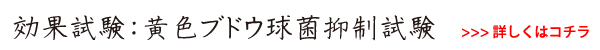 愛健・タカラアース-除菌・黄色ブドウ球菌