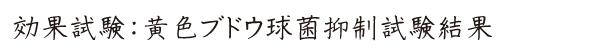 愛健・タカラアース-除菌・黄色ブドウ球菌 抑制試験